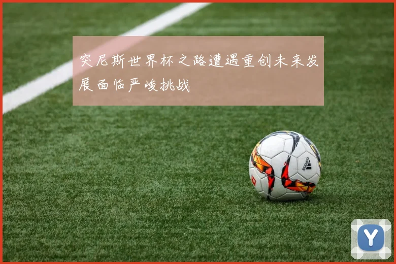 突尼斯世界杯之路遭遇重创未来发展面临严峻挑战